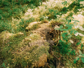 Fotografė Kaune  Šeimos, poros, vestuvės, portretai / Aureja Raudone Photography / Darbų pavyzdys ID 4499265