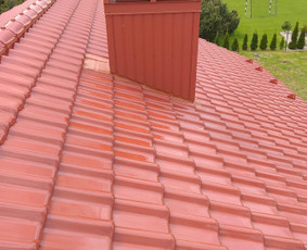 Stogdengiaišlaitiniu stogu montavimas / arunasgedas / Darbų pavyzdys ID 4499781