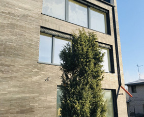 Architektė Giedrė Karenė / Giedrė Karenė / Darbų pavyzdys ID 967395