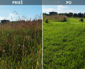 Vejos,žolės,pievų pjovimas nuo 10 arų iki kelių hektarų / Sergejus / Darbų pavyzdys ID 4500523