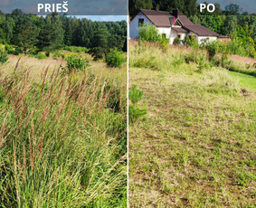 Vejos,žolės,pievų pjovimas nuo 10 arų iki kelių hektarų / Sergejus / Darbų pavyzdys ID 4500525
