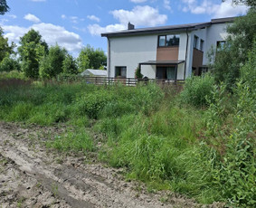 Vejos priežiūra, įrengimas - Daugiabučių teritorijų priežiūra visus metus - 3