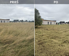 Aplinkos tvarkymas, apželdinimas - Vejos priežiūra, sklypų priežiūra, mulčiavimas - 2