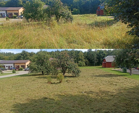 Pievų &scaron;ienavimas - Žolės pjovimas/mulčiavimas ir apleistų sklypu tvarkymas - 3