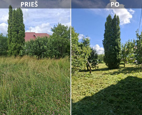 Vejos priežiūra, įrengimas - Daugiabučių teritorijų priežiūra visus metus - 3
