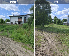 Vejos priežiūra, įrengimas - Daugiabučių teritorijų priežiūra visus metus - 2