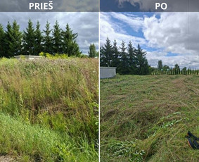 Vejos priežiūra, įrengimas - Daugiabučių teritorijų priežiūra visus metus - 1