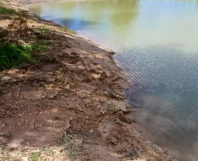Drenažo įrengimas - Sklypų lyginimas.vejos irengimas apželdinimo darbai - 4