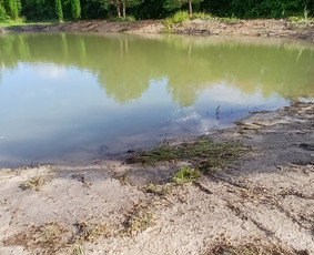 Drenažo įrengimas - Sklypų lyginimas.vejos irengimas apželdinimo darbai - 3
