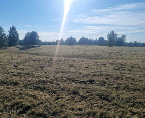 Pievų &scaron;ienavimas - Žolės pjovimas / Sklypų &scaron;ienavimas - 3