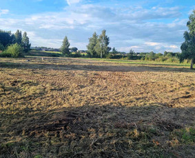 Pievų &scaron;ienavimas - Žolės pjovimas / Sklypų &scaron;ienavimas - 2