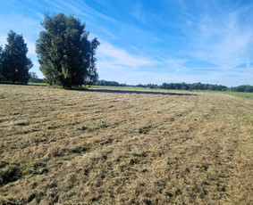 Pievų &scaron;ienavimas - Žolės pjovimas / Sklypų &scaron;ienavimas - 1