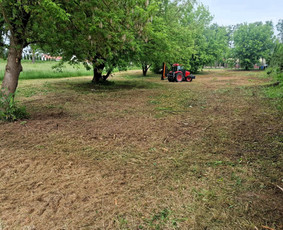 Žolės pjovimas - Žolės pjovimas / Sklypų &scaron;ienavimas - 3