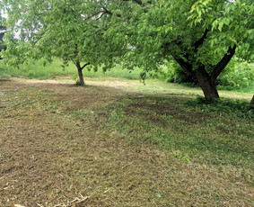 Vejos priežiūra, įrengimas - Žolės pjovimas / Sklypų &scaron;ienavimas - 4