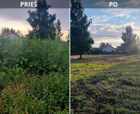 Vejos priežiūra, įrengimas - Žolės pjovimas / Sklypų &scaron;ienavimas - 2