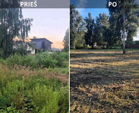 Vejos priežiūra, įrengimas - Žolės pjovimas / Sklypų &scaron;ienavimas - 1