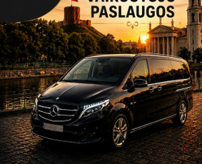 Asmeniniai vairuotojai - Privatus vairuotojas su Mercedes Vito - 1