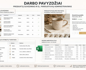 Elektroninių parduotuvių administravimas - El. parduotuvių administravimas ir produktų suvedimas - 1