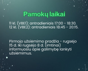Matematikos korepetitoriai - Matematikos pamokos 11-12 klasei - 4