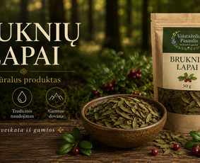 Grafikos dizaineriai - Reklaminių banerių ir socialinių tinklų vizualų kūrimas - 2