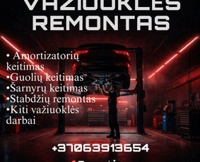 Tepalų keitimas - Važiuoklės remontas - 3