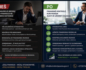 Buhalterija vadovams, kurie valdo verslą, o ne dokumentus / Milantra, MB / Darbų pavyzdys ID 4504781