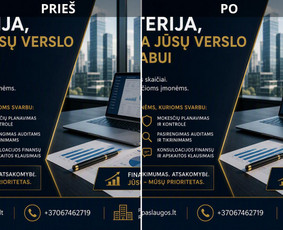 Buhalterija vadovams, kurie valdo verslą, o ne dokumentus / Milantra, MB / Darbų pavyzdys ID 4504809