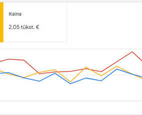 Interneto svetainių kūrimas - Visos Seo paslaugos Jums - 1
