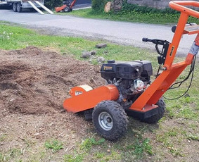 Įvairios technikos nuoma - Kelmu frezos nuoma, kelmu frezavimas, &scaron;lifavimas - 1