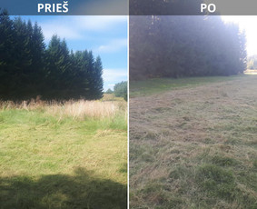 Vejos priežiūra, įrengimas - Žolės pjovimas / mulčiavimas,nuo 10 arų iki kelių hektarų - 3