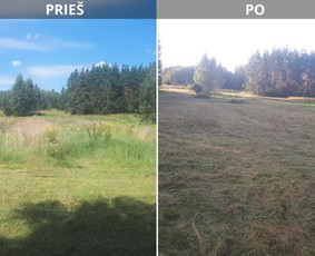 Vejos priežiūra, įrengimas - Žolės pjovimas / mulčiavimas,nuo 10 arų iki kelių hektarų - 2