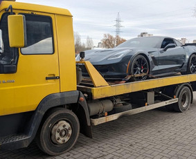 Traliukas, Pagalba kelyje / Modestas Popovas / Darbų pavyzdys ID 4505491