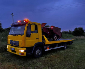 Traliukas, Pagalba kelyje / Modestas Popovas / Darbų pavyzdys ID 4505497