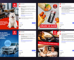 Meta, Google, Tiktok ir Linkedin reklama nuo 300 €/mėn. / Goadver, MB / Darbų pavyzdys ID 4505719
