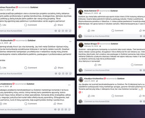 Meta, Google, Tiktok ir Linkedin reklama nuo 300 €/mėn. / Goadver, MB / Darbų pavyzdys ID 4505729