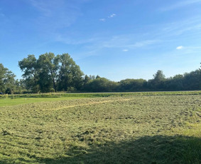 Vejos priežiūra, įrengimas - Žolės pjovimas / mulčiavimas/apleistų sklypų priežiūra - 2