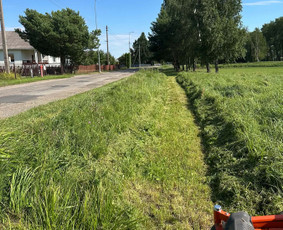 Vejos priežiūra, įrengimas - Žolės pjovimas / mulčiavimas/apleistų sklypų priežiūra - 1