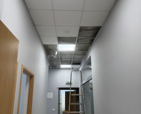 Efortis– Tvirtai. Greitai. Profesionaliai. / EFORTIS / Darbų pavyzdys ID 4506625