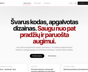 Programuotojai - Kokybi&scaron;kos svetainės ir programinė įranga - 3
