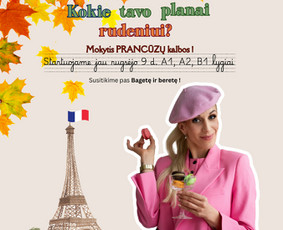 Prancūzų kalbos kursai, pamokos - Prancūzų k. kursai grupėse ir individualiai - 1