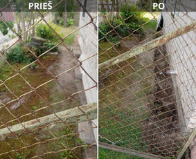 Aplinkos tvarkymas, apželdinimas - &Scaron;iuk&scaron;lių,baldų,pavojingų bei nepavojingų atliekų I&scaron;vežimas - 3