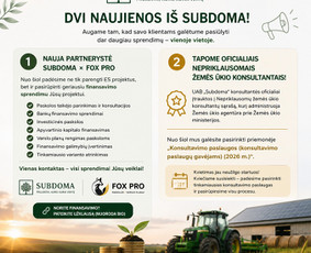 Paslaugos verslui - Es projektų rengimas ir konsultacija - 2