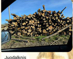 Malkos rąstais - Parduodama pigiai mediena rasteliais. Geros kainos - 4