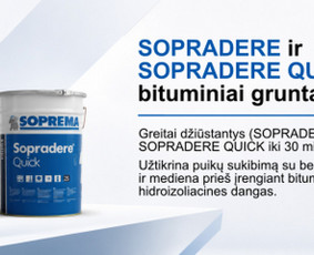 Maketavimas - Vizualinio indetiteto kūrimas - 2