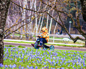 Fotografuoju. Fotografė mėgėja - pradedančioji / Agata Aladovič / Darbų pavyzdys ID 4508693