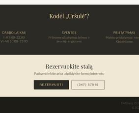Svetainių kūrimas - &Scaron;iuolaiki&scaron;kų interneto svetainių ir el. parduotuvių kūrimas - 2