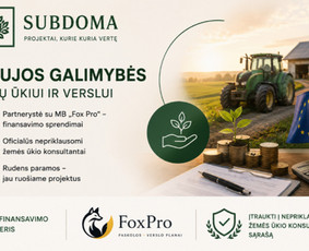 Įmonių steigimas (UAB, MB, V&scaron;Į) - Es projektų rengimas ir konsultacija - 1