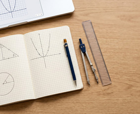 Matematika su Šimtukininku! Pirma Pamoka tik 15 € / Rokas Bernotas / Darbų pavyzdys ID 4511959