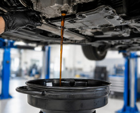Ekologijos sistemų specai. egr, dpf, įsiurbimo sistema / NevadaMotors / Darbų pavyzdys ID 4512365