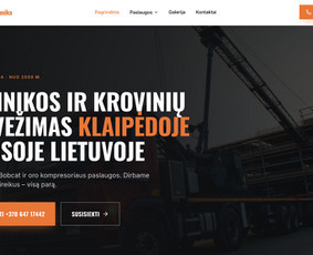 Svetainių kūrimas - Interneto svetainių, el. parduotuvių kūrimas ir reklama - 3